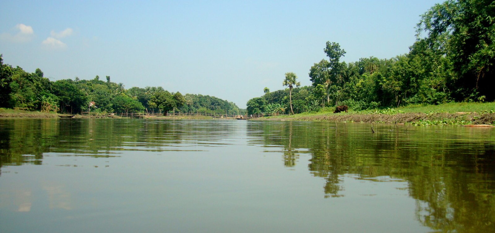 নড়াইল জেলার জনসংখ্যা বিষয়ক তথ্য